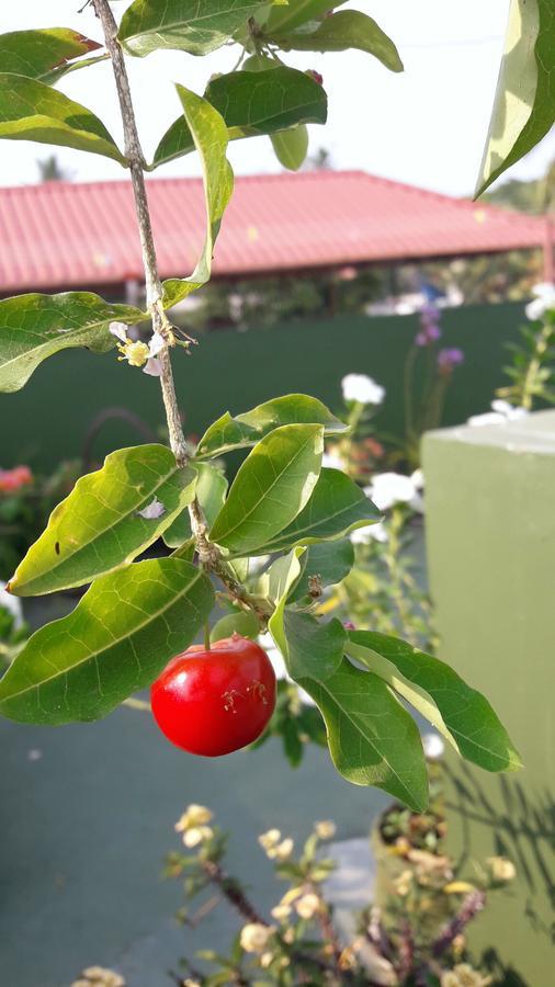Heavenly Homestay Kochi Екстер'єр фото