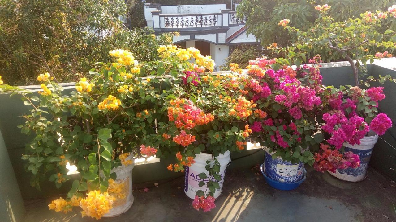 Heavenly Homestay Kochi Екстер'єр фото